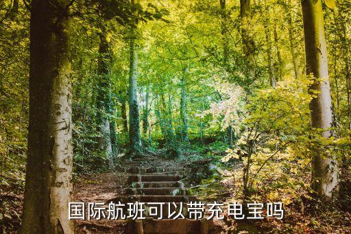 國(guó)際航班可以帶充電寶嗎