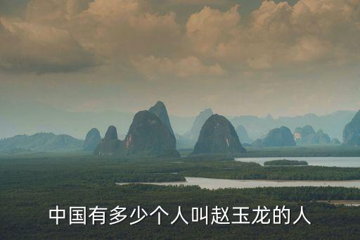 中國有多少個(gè)人叫趙玉龍的人