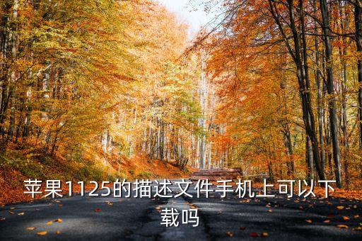 蘋果1125的描述文件手機上可以下載嗎