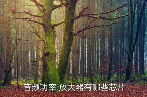  音頻功率 放大器有哪些芯片