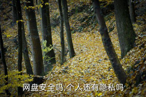 云盤數(shù)據(jù)安全嗎,網(wǎng)盤安全嗎?網(wǎng)盤瀏覽器怎么樣了?