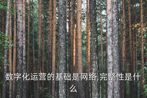 數(shù)據(jù)產品化,數(shù)據(jù)經理如何進行產品數(shù)據(jù)?