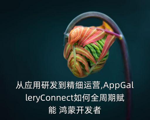 從應用研發(fā)到精細運營,AppGalleryConnect如何全周期賦能 鴻蒙開發(fā)者