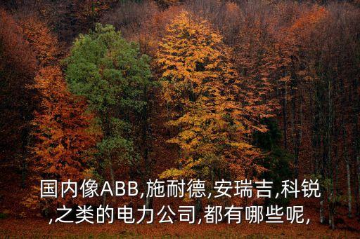 國(guó)內(nèi)像ABB,施耐德,安瑞吉,科銳,之類的電力公司,都有哪些呢,