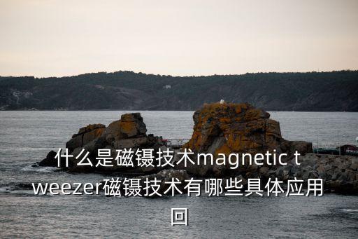 什么是磁鑷技術(shù)magnetic tweezer磁鑷技術(shù)有哪些具體應(yīng)用回