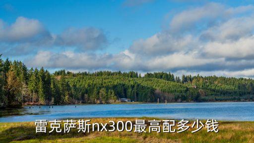 雷克薩斯nx300最高配多少錢