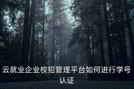 云就業(yè)企業(yè)校招管理平臺如何進行學號認證
