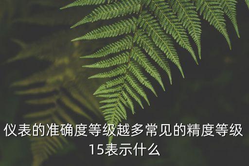 儀表的準確度等級越多常見的精度等級15表示什么