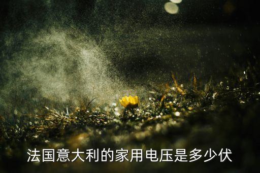 法國意大利的家用電壓是多少伏