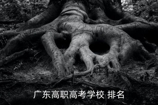 廣東高職高考學(xué)校 排名