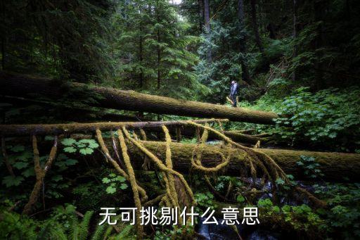 無可挑剔什么意思