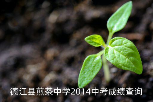 何茂林，什么QQ游戲最火暴