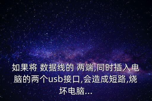 數(shù)據(jù)線兩端