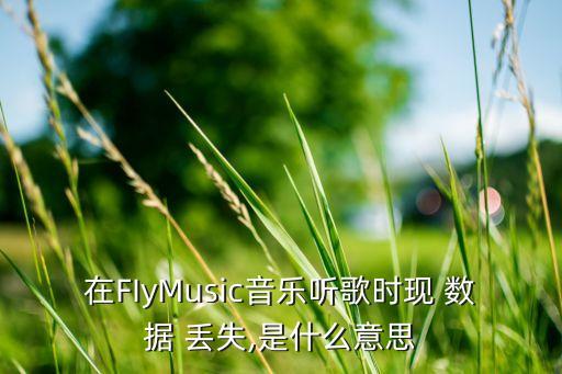 2017數(shù)據(jù)丟失事件