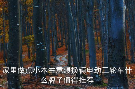家里做點小本生意想換輛電動三輪車什么牌子值得推薦