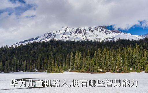 華為16年機(jī)器人,華為智能機(jī)器人怎么做?