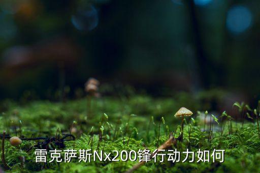 雷克薩斯Nx200鋒行動(dòng)力如何
