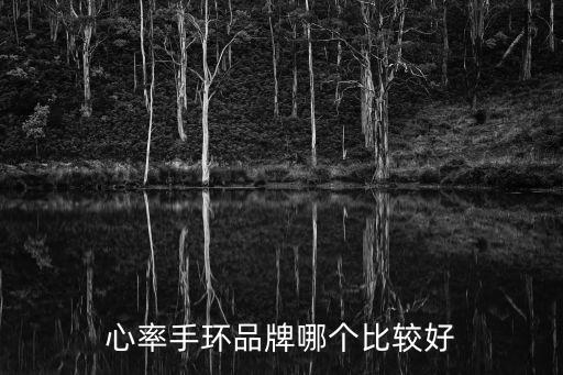 測心率的手環(huán)，什么牌子的心率手環(huán)好