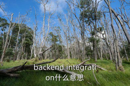 backend integration什么意思
