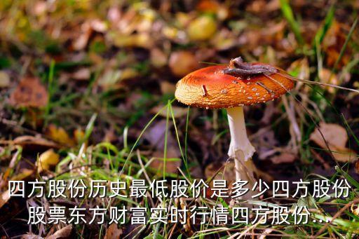 四方股份歷史最低股價是多少四方股份股票東方財富實時行情四方股份...