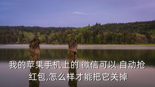 我的蘋果手機(jī)上的 微信可以 自動(dòng)搶 紅包,怎么樣才能把它關(guān)掉