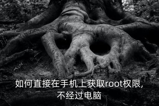如何直接在手機(jī)上獲取root權(quán)限,不經(jīng)過電腦