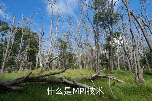 什么是MPI技術(shù)