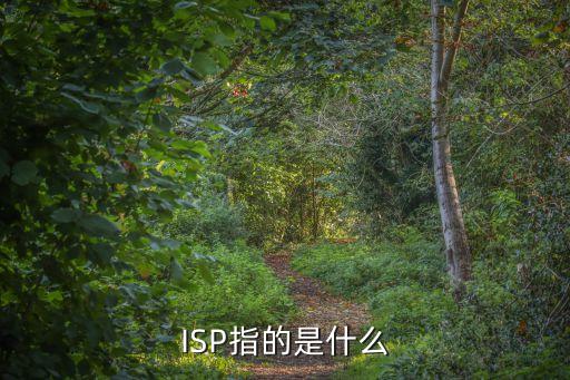 ISP指的是什么