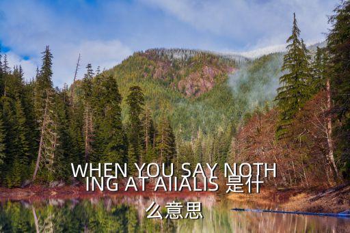 WHEN YOU SAY NOTHING AT AIIALIS 是什么意思