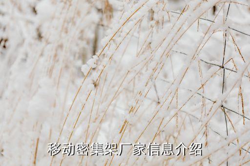 成都自動化流水線公司,服裝廠自動化流水線