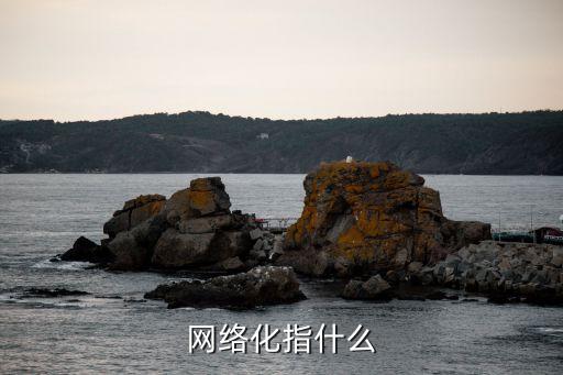網(wǎng)絡(luò)化，什么叫網(wǎng)絡(luò)化