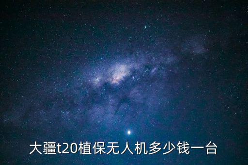 大疆t20植保無人機(jī)多少錢一臺