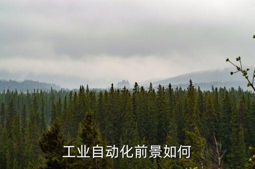 工業(yè)自動化前景如何