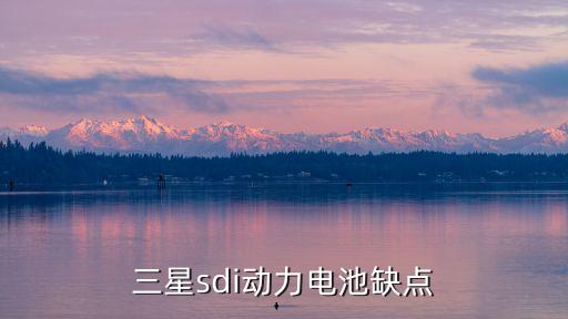 三星SDI，三星sdi是什么意思