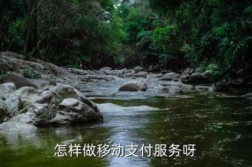 怎樣做移動(dòng)支付服務(wù)呀