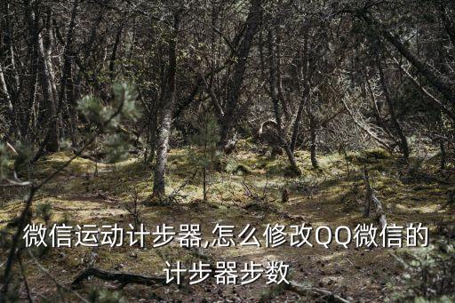 微信運(yùn)動(dòng)計(jì)步器,怎么修改QQ微信的計(jì)步器步數(shù)