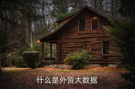 大數(shù)據(jù) 海關(guān),目前市場(chǎng)上的外貿(mào)大數(shù)據(jù)公司主要提供海關(guān)數(shù)據(jù)