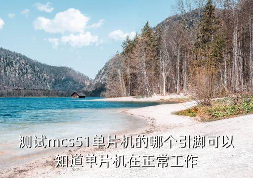 測(cè)試mcs51單片機(jī)的哪個(gè)引腳可以知道單片機(jī)在正常工作