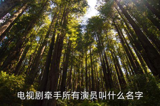 王智強，王智強和王佩云的愛情基律是百分之多少