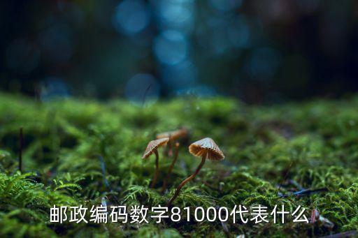 郵政編碼數(shù)字81000代表什么