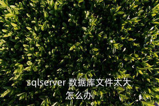 sqlserver 數(shù)據(jù)庫文件太大怎么辦