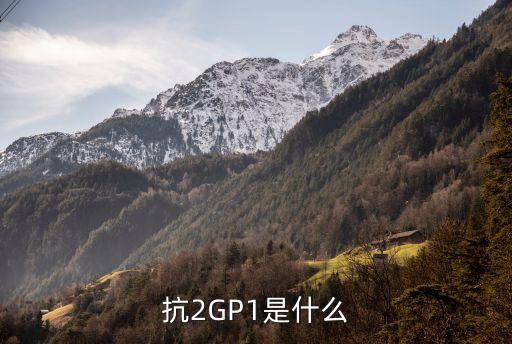 抗2GP1是什么