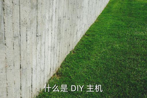 什么是 DIY 主機(jī)