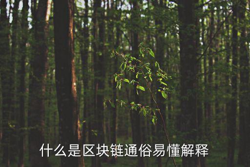 什么是區(qū)塊鏈通俗易懂解釋