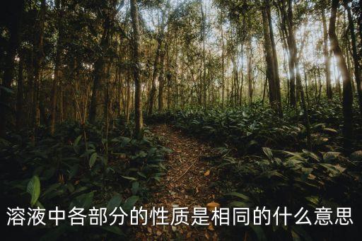 溶液中各部分的性質(zhì)是相同的什么意思