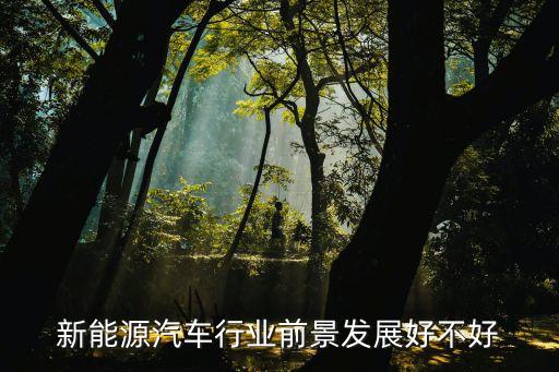 新能源汽車行業(yè)前景發(fā)展好不好