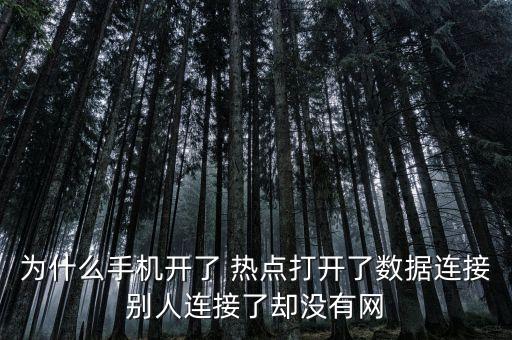 為什么手機開了 熱點打開了數(shù)據(jù)連接別人連接了卻沒有網(wǎng)