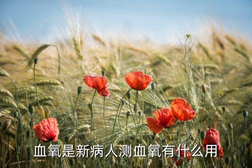 血氧是新病人測(cè)血氧有什么用
