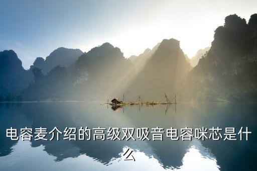 電容麥介紹的高級雙吸音電容咪芯是什么