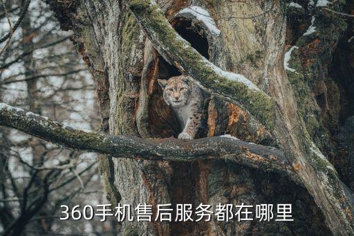 360手機(jī)維修，360手機(jī)放在哪里修